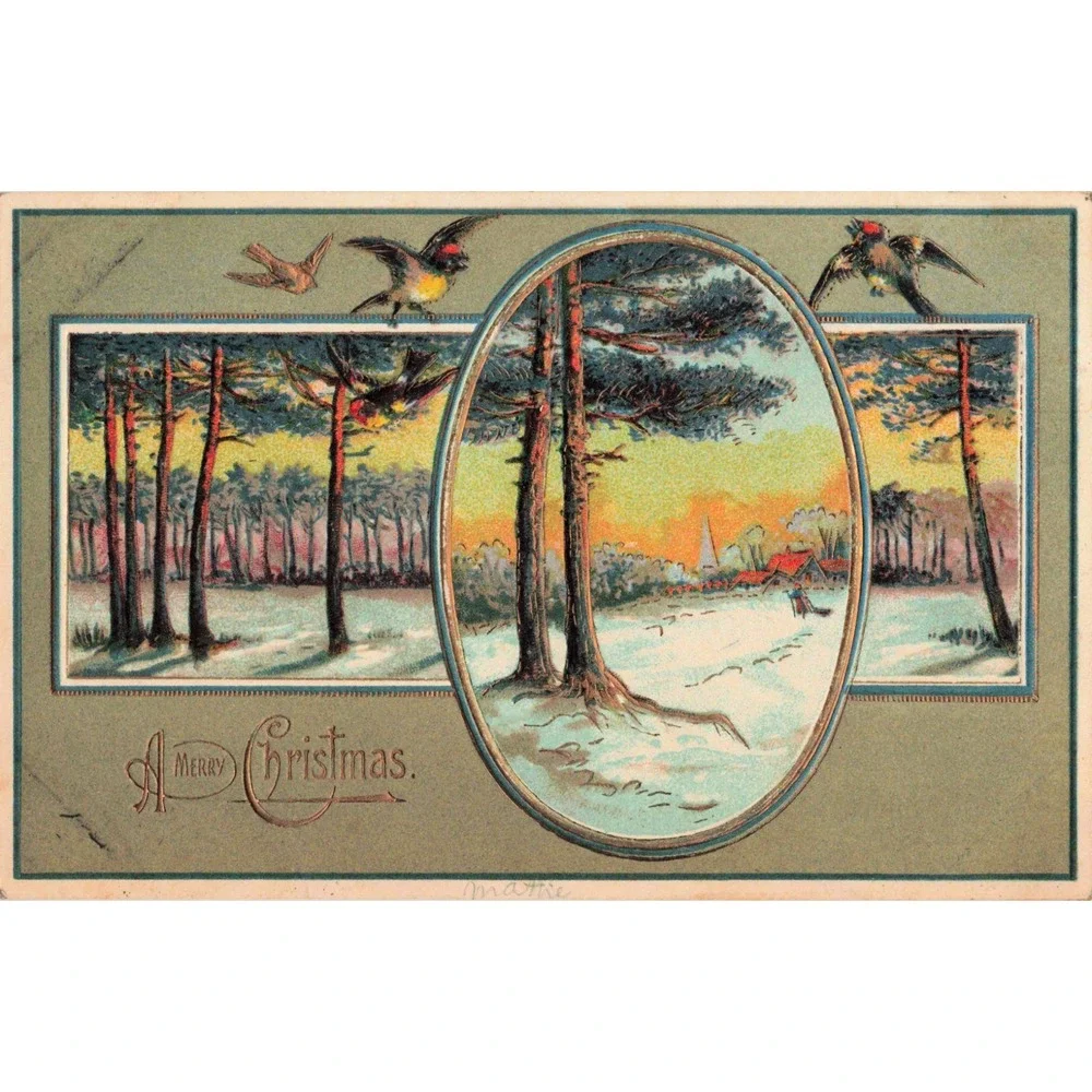 Antique Merry Christmas Postcard Embossed Winter Forest Birds Germany VG